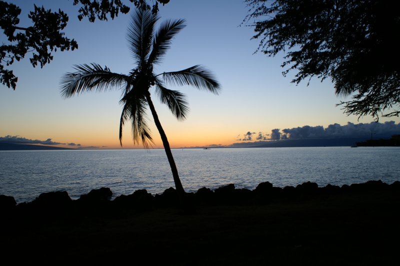 artsysunsetshot.jpg