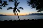 artsysunsetshot_small.jpg
